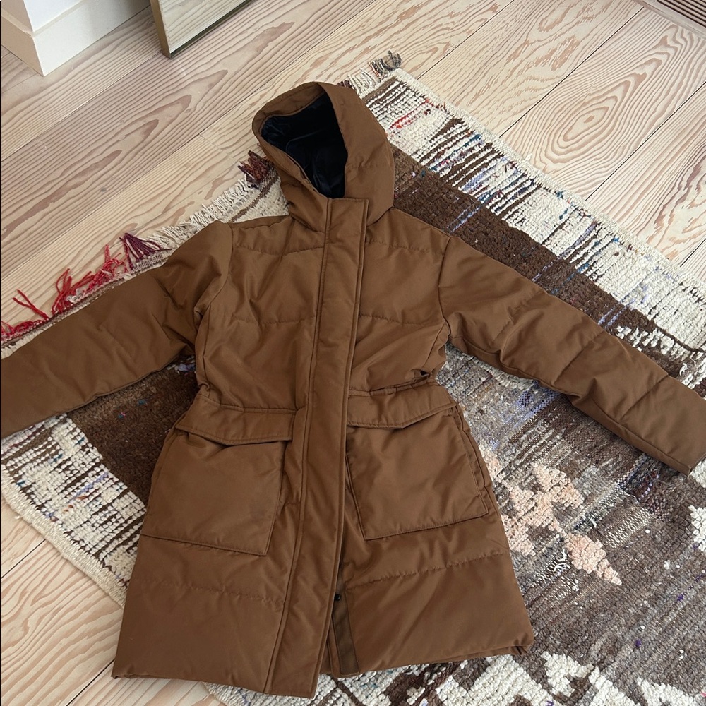 Everlane Chestnut Hooded Puffer Coat